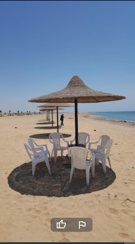 Apartment And Pools Front Challet In Ras Sedr
